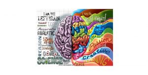 Left brain - Right brain comparison image