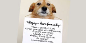 Dog holding sign: things to learn from your dog (attitude, enthusiasm, loyalty love, etc)
