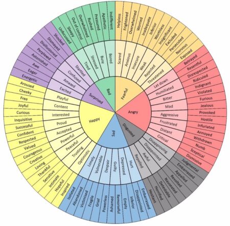 EQ Wheel of Emotions