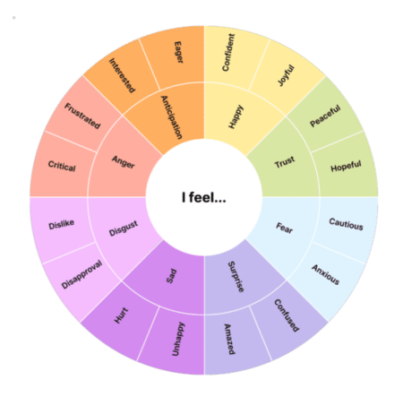 Zoom Emotions Wheel